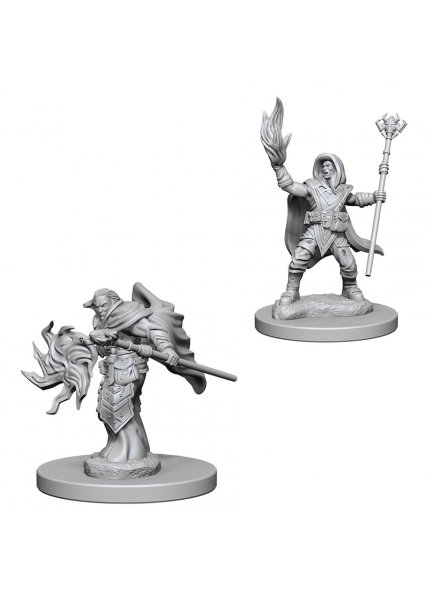 D&D Nolzur's Marvelous Unpainted Miniatures: Elf Male Wizard